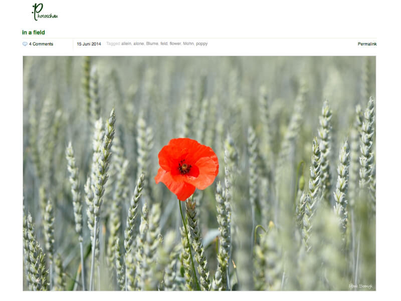 portfolio Frank Boenigk