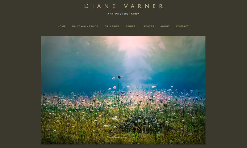 portfolio Diane Varner