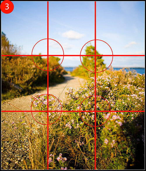 Improve Your Landscape Photos in Photoshop