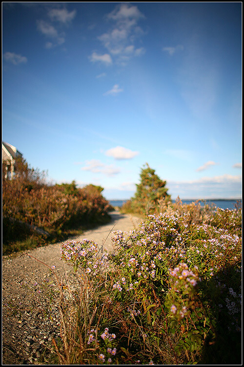 Improve Your Landscape Photos in Photoshop