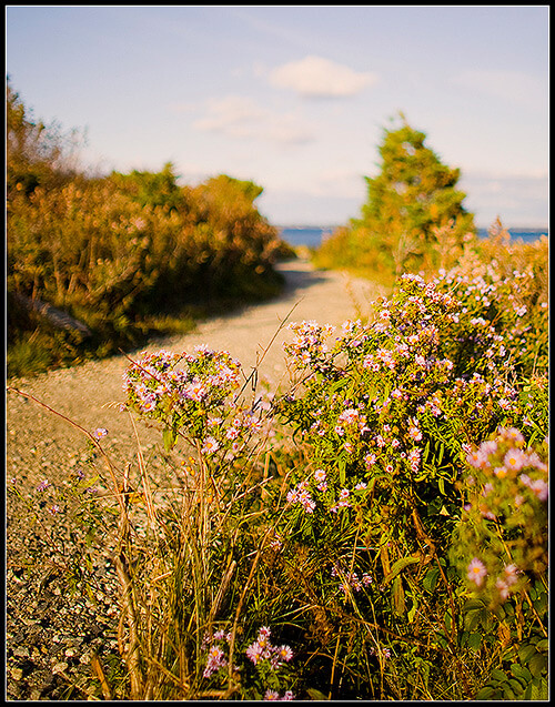 Improve Your Landscape Photos in Photoshop