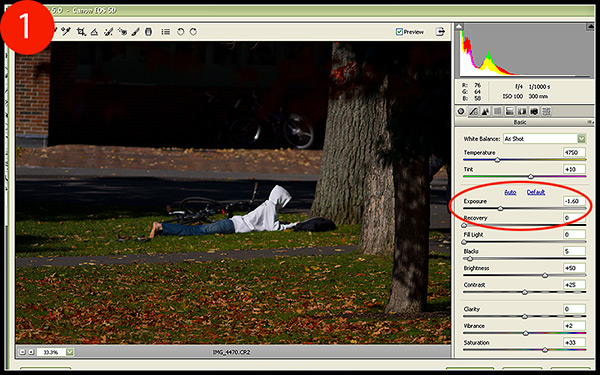 Curing Blown Highlights with RAW
