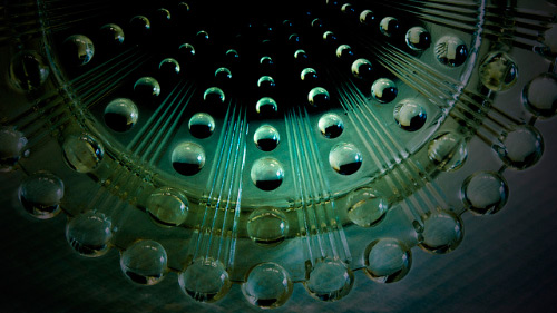 One Color Dominate Photography