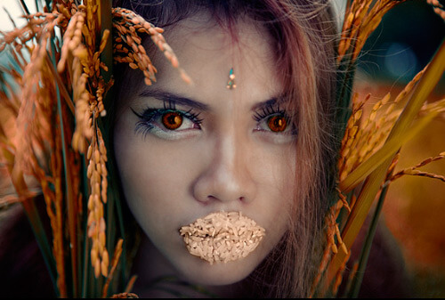 One Color Dominate Photography
