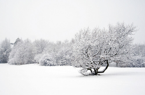One Color Dominate Photography