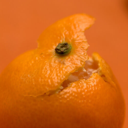 One Color Dominate Photography
