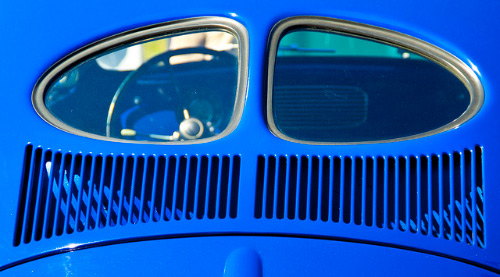 One Color Dominate Photography