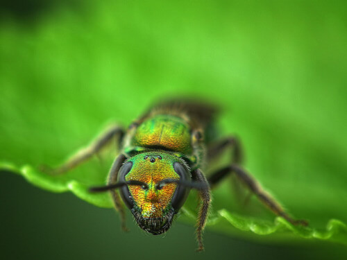 One Color Dominate Photography