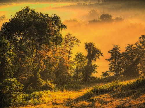 One Color Dominate Photography