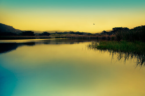 Fine Art Photography by Diane Varner