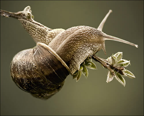 Fine Art Photography by Diane Varner