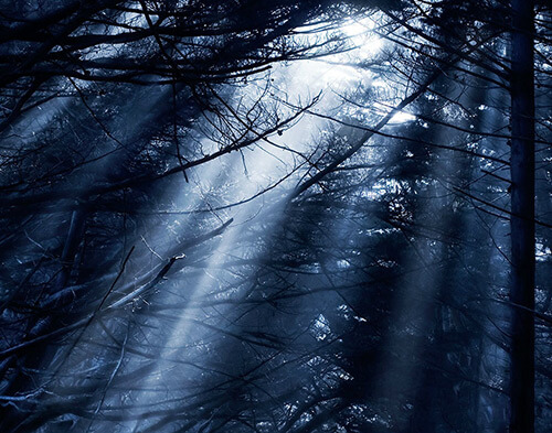 Fine Art Photography by Diane Varner
