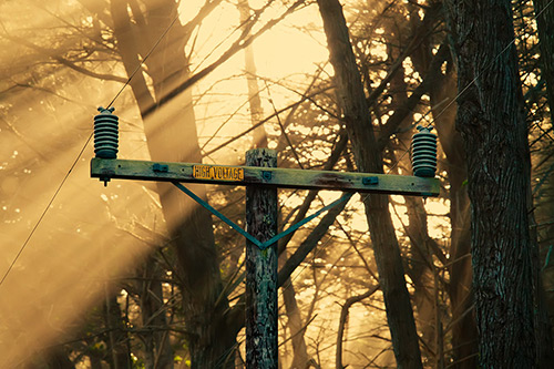 Fine Art Photography by Diane Varner