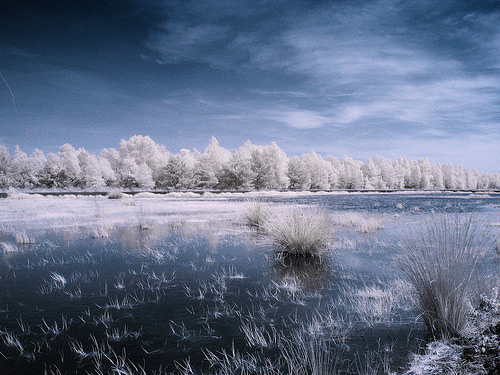infrared photography 3