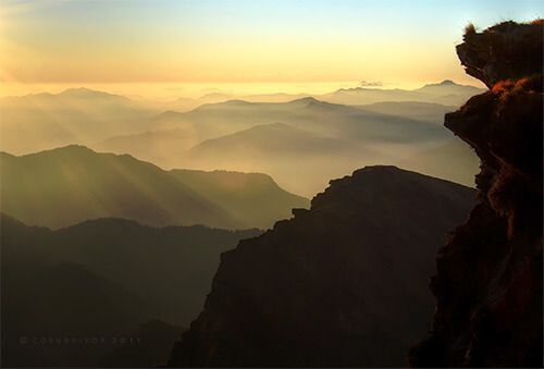 misty layers in a sea of gold