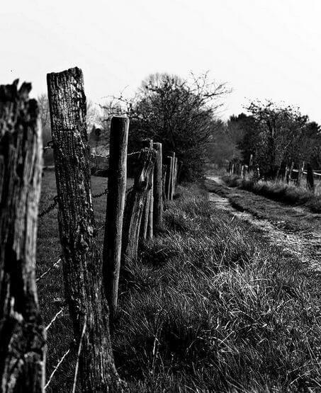 fence photography fence photography