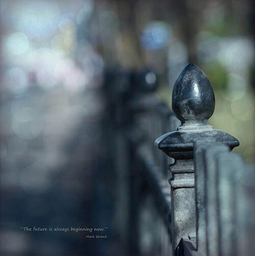 fence photography fence photography