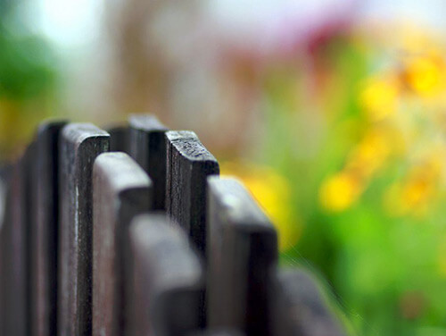 fence photography fence photography