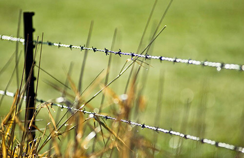fence photography fence photography