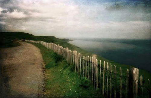 fence photography fence photography