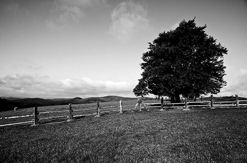 fence photography fence photography