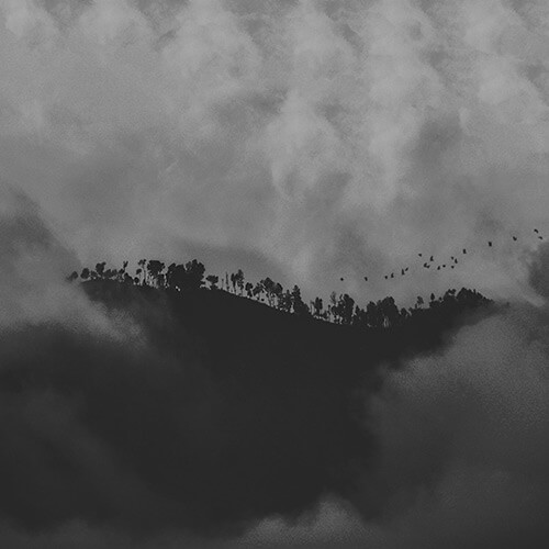 taking-refuge-in-the-wind