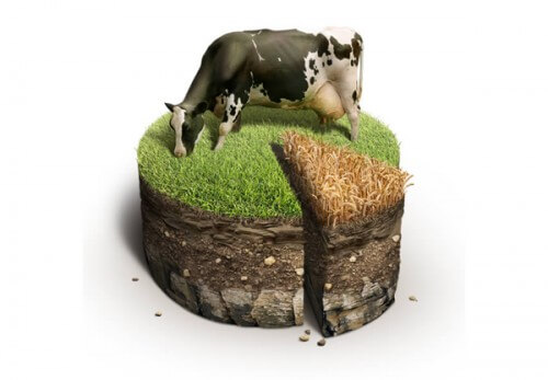 Soil Cake for Pie Charts and Infographics
