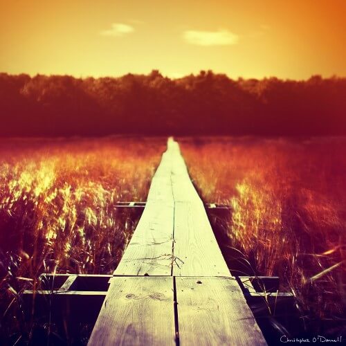 boardwalk
