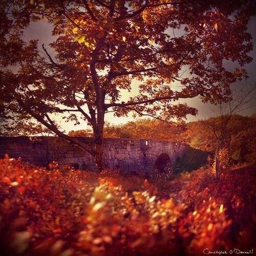duck_brook_bridge_ii_sig