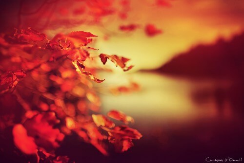 eagle_lake_iv