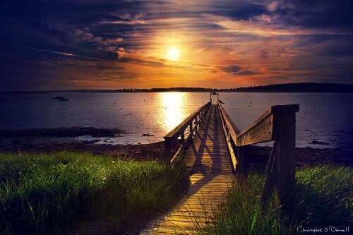 potts_harbor