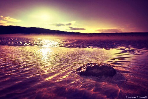 summer_solstice