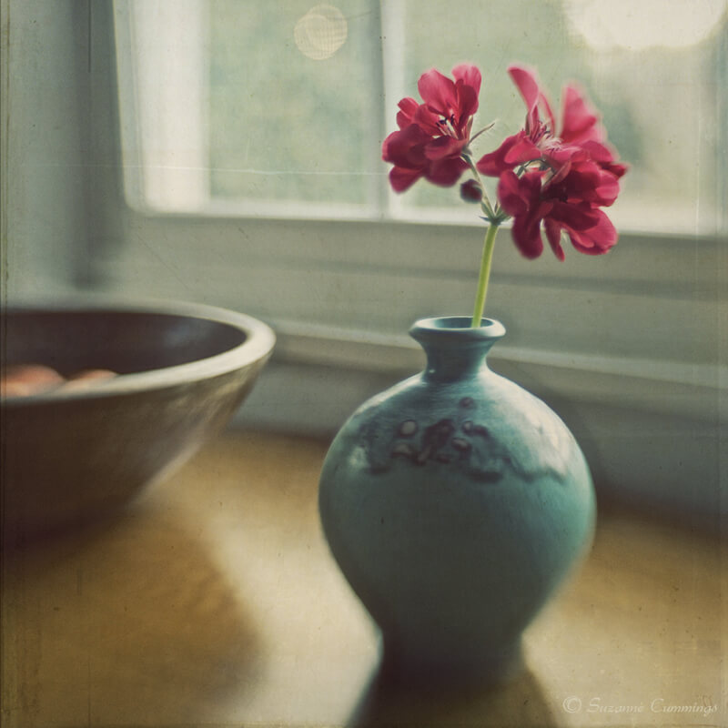 still life photography flowers in vase