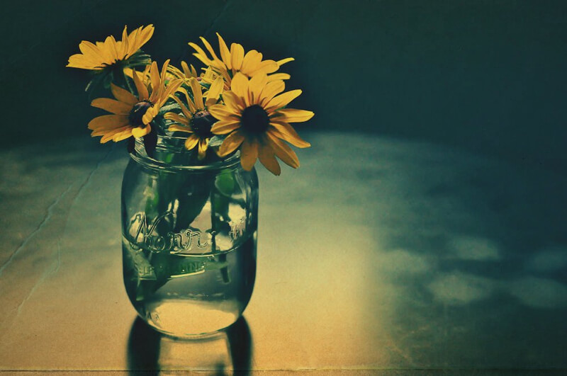 still life photography flowers