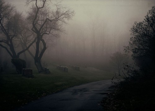 Olga_Tremblay_Photography