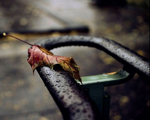Olga_Tremblay_Photography