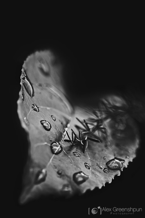 love-letter-from-rain-1-900