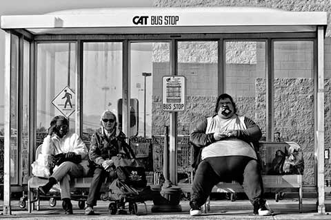 bus stop 7