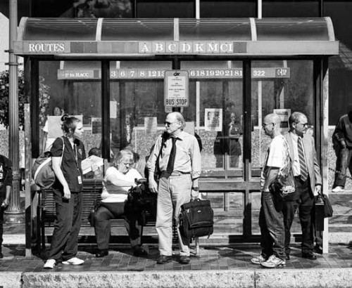 bus stop 12