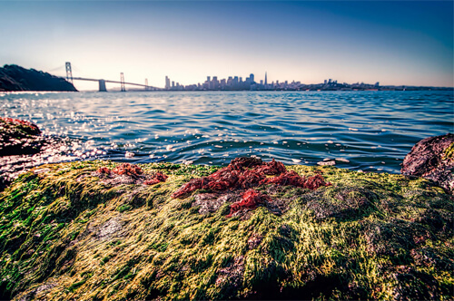 skyline-photography