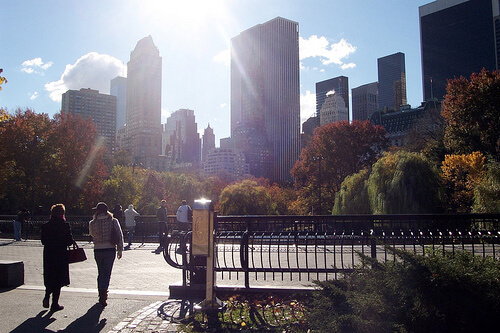 lens flare photography example in park with city skyline lens flare photography example in park with city skyline
