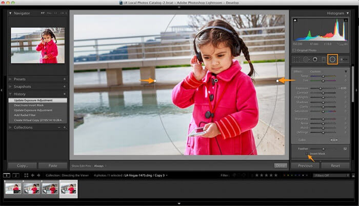 Direct Viewer’s Eye in Lightroom