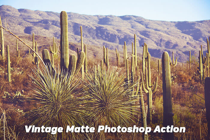 Vintage Matte Photoshop Action
