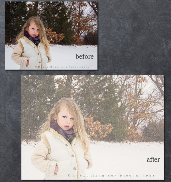 Snowy Dreams Action