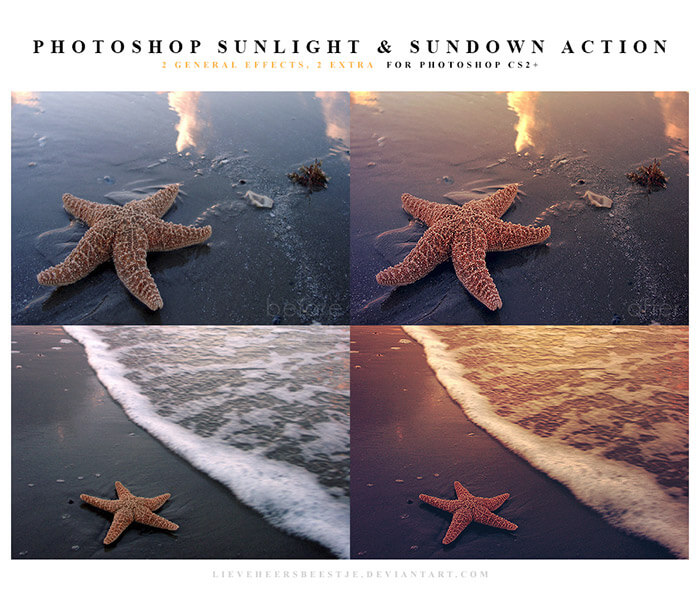 Sunlight and Sundown Actions
