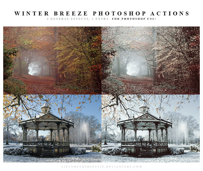 Winter Breeze Actions