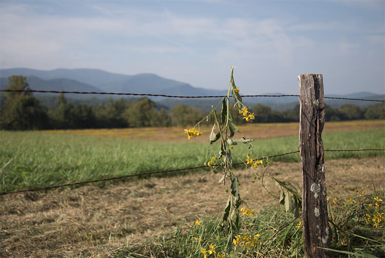improve landscape photos