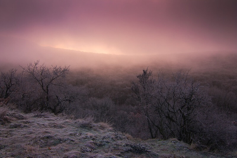 Roman Vanur - Misty morning