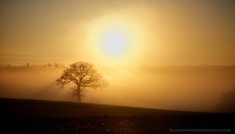 Richard Walker - Misty Morning