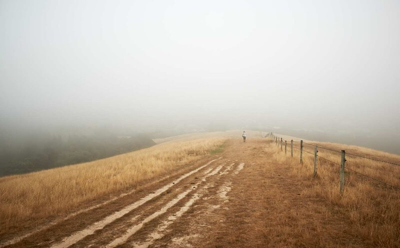 peter burge - A very misty morning